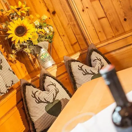 Chalet Appartement Alpenherz Saalbach-Hinterglemm